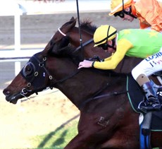 The Eye Liner Stakes 

The defending 2018 winner is I’m A Rippa (pictured winning last year's race) from the Gollan Racing team. He led in the Stradbroke and faded. Back to Listed company this weekend and drawn nicely look for a dramatically improved run. 