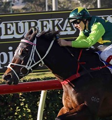 Thompson win number 3: Dazzling Red for Tony Sears