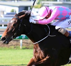 A massive weight for Looks Like Elvis (1) but the three kilograms allowance for Nick Keal will assist. He was very unlucky in the Coffs Harbour Cup when he just was not suited by the short straight and the way the race was run. He stormed home late only to run out of time to run down the leader in that race. He won his previous start here at Eagle Farm and he will be suited by the tempo of the race and the long straight this weekend. (see race 7)