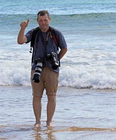 Winno … getting his feet wet at the Magic Millions Beach Gallops