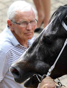 “I have said before that horses have a sort of aura about them. Working with good horses you get a thrill but there is also a sense of calm just being around them. They do have an aura. They have a presence which is quite therapeutic.