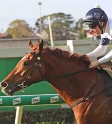 Constant Flight (3) resumed with a strong win at Doomben – he is second up here and looks well placed by David Vandyke. (see race 9)