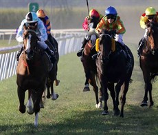 Photos: Graham Potter
Jockey reunion pictures supplied