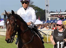 Frangipani Moon heads out onto the track at Doomben on August 14