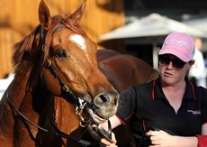 Constant Flight still looking fresh after winning at Doomben on August 14