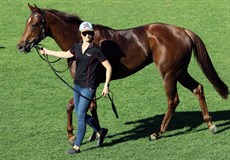 Okeechobee with ears pricked after her win