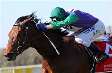 The Jenkins stable landed a double at the Sunshine Coast on September 8 when Picka Plum (pictured above) and Ocean Ruler (below) took out the honours. 

Picka Plum has now won five in a row (from only six starts) while Ocean Ruler has won two out of four starts this season … not bad going for a stable that only has seven horses in work!