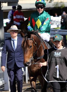 David Vandyke ushers Alligator Blood out onto the track at Doomben on the day the son of All Too Hard completed a hat trick of wins. Since that win Alligator Blood has added another two wins to his tally to remain unbeaten in five starts