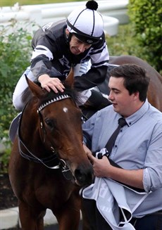 Victorem, the New South Wale's Country Horse Of The Year for the 2018/19 season, is seen returning to scale here with a jubilant Ben Looker in the saddle after winning the Listed Hinkler at Eagle Farm back in June. The Jenny Graham trained gelding is one of the main fancies for The Kosciuszko ...
