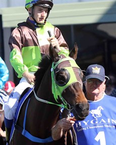 Last year's The Kosciuszko winner Bellflyer, trained by John Shelton, is back to defend his crown. Shelton also has Tarbert in the race
 
I would obviously love it if a Northern Rivers horses wins it again but regardless of that, taking that bias away, it is a race that creates so much interest at a reginal level that it is quite amazing. It is a concept that is just going to get better and better and better and it will continue to lift the interest in country horses and therefore in country racing in NSW.

Photos: Graham Potter