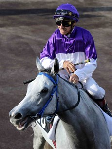 In happier times … Michael Cahill and The Candy Man

Photo: Graham Potter