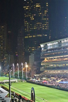 … and we are just about under starters orders for the 2019 running of the Longines International Jockeys Challenge meeting

Photos: Graham Potter