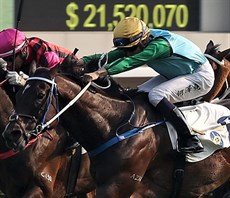 … perhaps Sunday will be the day when he sends out Rise High, seen here scoring a shock win in October when he lowered the colours of the champion Beauty Generation

Photos: Hong Kong Jocley Club