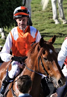 Vow And Declare pictured after winning the Tattersall's Cup in June. Vow And Declare went on to win the 2019 Melbourne Cup

Photos: Graham Potter