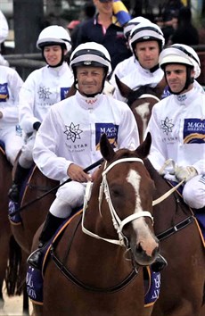 I lead the horses out onto the beach at the 2019 Magic Millions promotional beach gallops ...