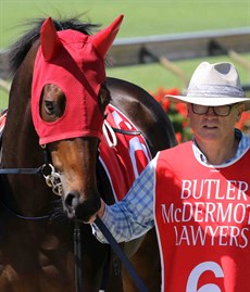 
All credit to trainer David Vandyke (pictured here with his star three-year-old) for what he has done with Alligator Blood. There probably wouldn’t be a trainer … or there hasn’t been a trainer I have come across … who is as hands-on as David is. He knows his horses inside out.

Hopefully for David and his team, for all Queenslanders and Sunshine Coasters, Alligator Blood can come back a winner on Saturday!

Photos: Graham Potter