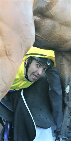 Michael Rodd plays hide and seek with Vega One in the winner's enclosure. the pair were unstoppable last start at Eagle Farm, and I anticipate them going close again here this weekend. (see race 8)

Photos: Darren Winningham