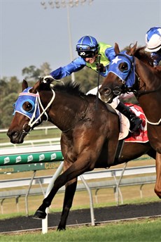 Tycoon Ace (3), trained Maddy & Tony Sears, looks well placed here. He won three starts ago here and drew wide last start at the Gold Coast and got caught wide. The effort was pretty good. (see race 5)