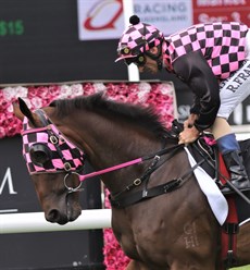  Mosshiki (3) is on the quick back up from last weekend and probably will appreciate the mile here. (see race 10)

Photos: HRO (Graham Potter)
