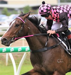 I like the Heathcote Racing runner – Rothfire (1). He was solid last preparation with two starts for two very impressive wins. This weekend he carries some weight and is first up. He was ridden to both his victories by Jim Byrne (the duo are pictured here) who subsequently suffered a broken leg and recently told me he is on the mend and close to getting back in the saddle! (see race 1)