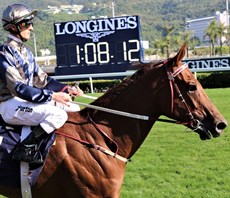 Okay I will declare I am a massive fan of the three-year-old gelding Aethero (11) (pictured above) who was belted around last start in the running. To say he was unlucky is an understatement – it was like a demolish derby on the track and he faded late and tailed off. Since then he has had a solid hit out in a barrier trial by the astute legend trainer John Moore. Zac Purton rides him again – can he post his first Group 1 in Hong Kong? (se race 5)