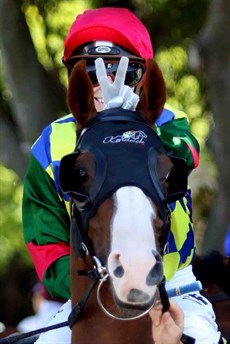 The Kendrick stable colours moving forward with confidence … watch out!