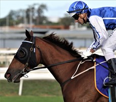 Vanna Girl (pictured above) made her rivals look second rate in The Roses, dashing clear inside the last 150 and easing right down for a cracking win. That took her record to seven wins from ten starts and now her connections are looking at some major races in the spring, even the Cox Plate.