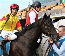 Pretty In Pink returns to scale after her win in the Moreton Bay Cup at Doomben back in June 2019. Now trainer John O'Shea is due to face a charge after the Moreton Cup winner Pretty in Pink showed a positive to ice.

Photos: Graham Potter and Darren Winningham