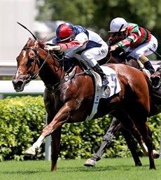 Photos: Courtesy Hong Kong Jockey Club