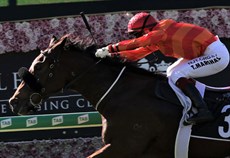 Apache Chase (see race 1)