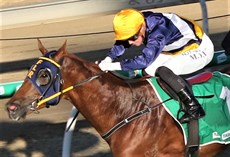 Stuttering (see race 3)

Photos: Graham Potter