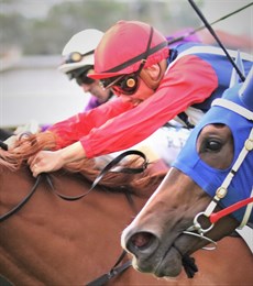 The day Matty McGillivray became a Group 1 winning jockey ... driving Winning Ways to a famous victory in the 2019 Queensland Oaks at Doomben