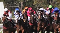 Flybridge (orange cap) caught in a roadblock behind a wall of horses, seemingly with nowhere to go and time running out fast ...