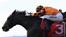 ... to score a thrilling victory

Photos: Graham Potter