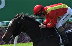 Race 1 - Joymaker