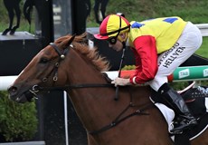 Race 3 - Love Struck