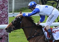 Race 4- She Za Boss