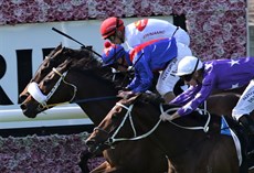 Race 5 - Momentum To win