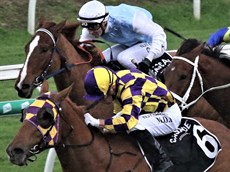 Race 6 - Acrobatic
