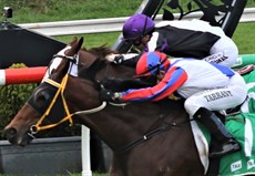 Race 7 - Junction