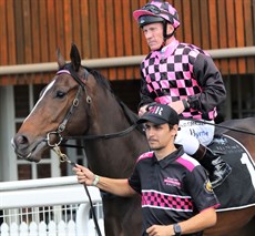 Meantime smart three-year-old Rothfire (pictured above and below) is back on track after he had a day or so off after injuring himself in a box incident. He had an exhibition gallop between races at Eagle Farm and pleased trainer Rob Heathcote no end turning on the speed with the last 600 in 32s and the last 400m in 20.7s. 