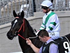 And what about that win by the filly Kisukano (pictured above and below) … gaining her sixth win from eight starts and cracking the Eagle Farm 1200 metre record in 1.08.69s, bettering the best of Isaurian last year. There is a chance she may be seen in Sydney, but the Toowoomba Guineas is first on the agenda.