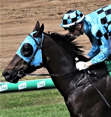 Approprately enough, Nothdurft's first win out of his apprenticeship came for Tony Gollan with whom he had such success last season ... and it turned out to be an armchair ride as The Move thrashed his opposition, winning by 6.30 lengths

Photos: Graham Potter and Darren Winningham