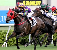 Photos: Courtesy Hong Kong Jockey Club