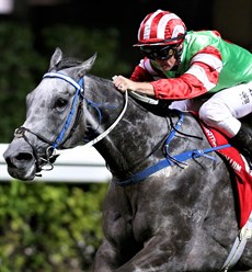 Purton’s fourth win of the evening came when Guy Dragon took the finale, the first section of the Class 3 Causeway Bay Handicap (1200m), for trainer Caspar Fownes.

“He’s a very complicated horse. He drew a good gate and he jumped very well which is not his normal racing trait as he’s normally slow out. He initially put himself in a good spot but I sort of got dragged back out of the race but I was able to navigate a way through,” Purton said.

Photos: Courtesy Hong Kong Jockey Club