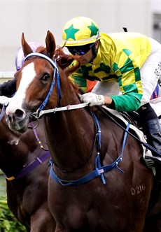 Sky Field scored a dazzling victory in the Class 3 Hung Hom Handicap (1200m), demonstrating an electrifying turn-of-foot in the straight to make a big statement for jockey Joao Moreira and trainer Caspar Fownes.

Photos: Courtesy Hong Kong Jockey Club