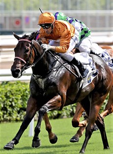  Irishman Neil Callan gained his first win for the new season in Hong Kong on the Jimmy Choux gelding Excellent Chariot (pictured above)

Photos: Courtesy Hong Kong Jockey Club