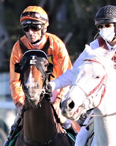 Robbie Fradd aboard the Toby and Trent Edmonds trained Tyzone pictured shortly before they saluted in the Group 1 Stradbroke Handicap ... Fradd's biggest success to date in Australia

Photo: Graham Potter