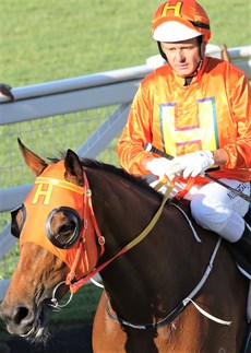Brad Stewart brings The Harrovian back to scale after his victory at Eagle Farm