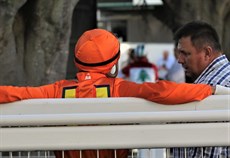 Connections looking reasonably relaxed before the race ...